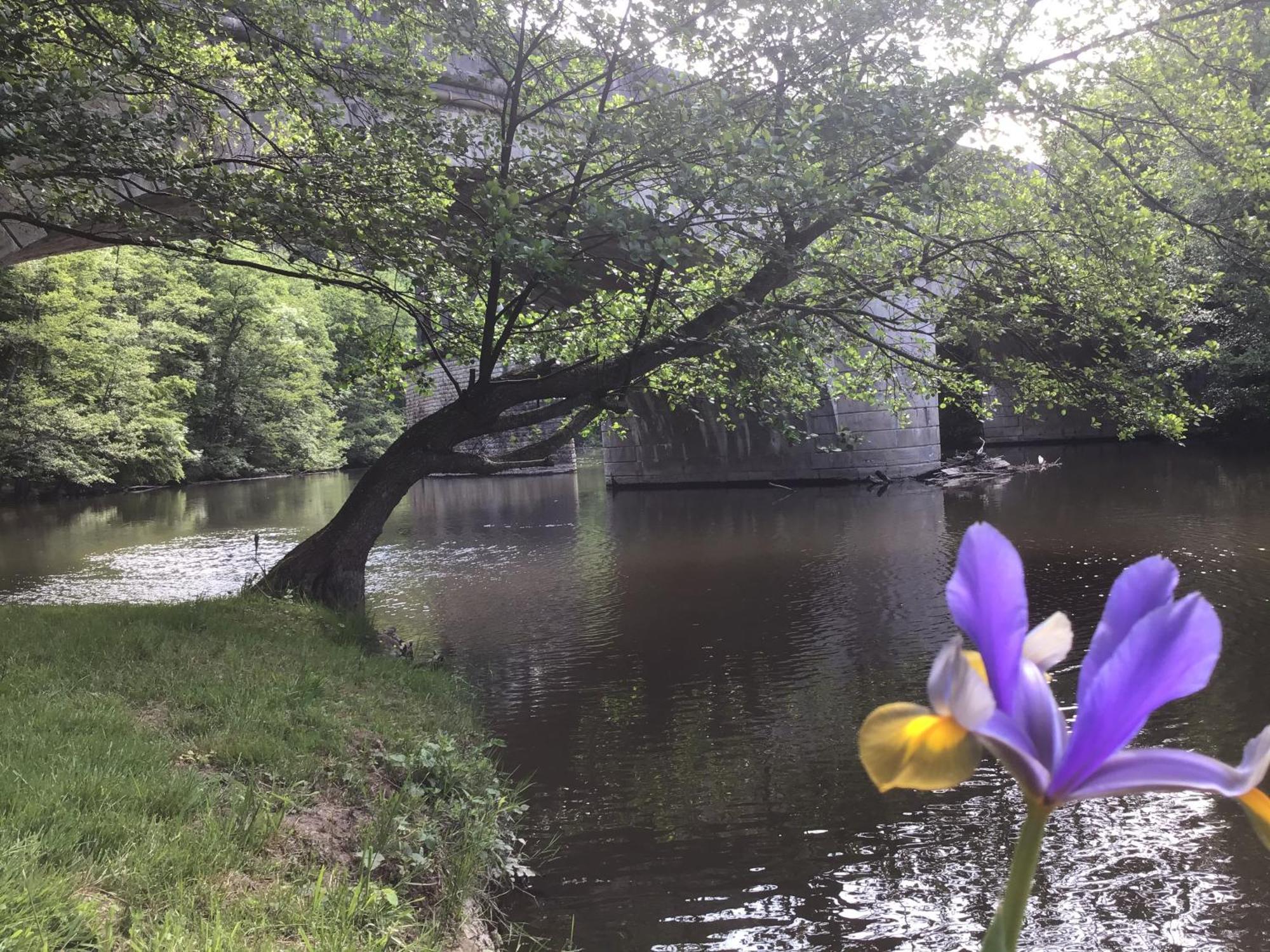 Chambre Sur Une Ile Saint-Bonnet-de-Rochefort Exteriör bild