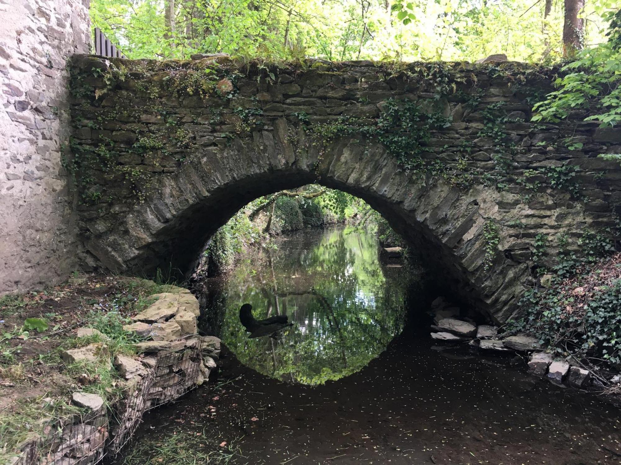 Chambre Sur Une Ile Saint-Bonnet-de-Rochefort Exteriör bild
